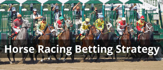 Stratégie de paris sur les courses de chevaux : trucs et astuces pour réussir